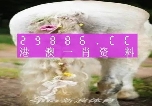 2024年澳门335期一肖一码|探索未知的奇妙旅程_未来版IP.7.658